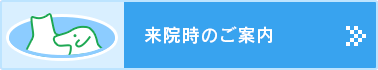 来院時のご案内